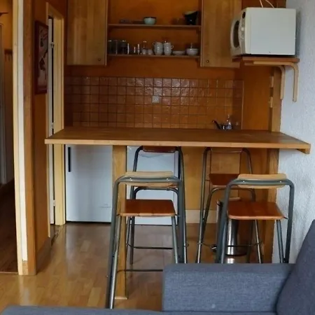 Studio Dans La Galerie Commerciale A Pra Loup, Proche Des Pistes 646 *